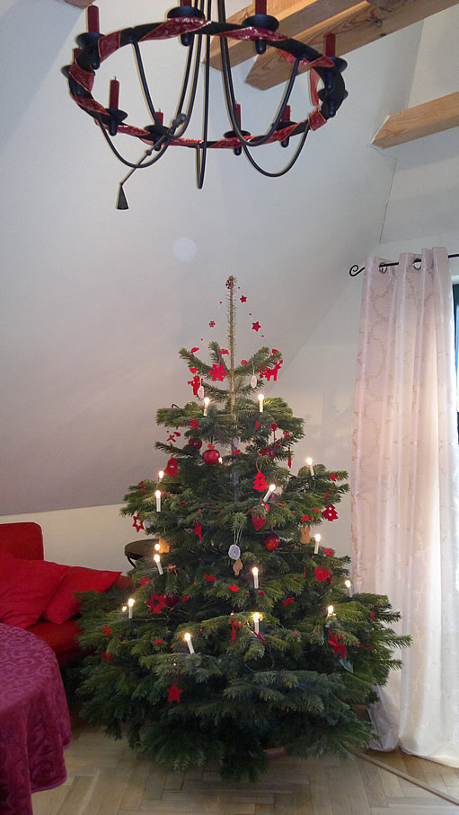 Weihnachtsbaum Villa Grieß