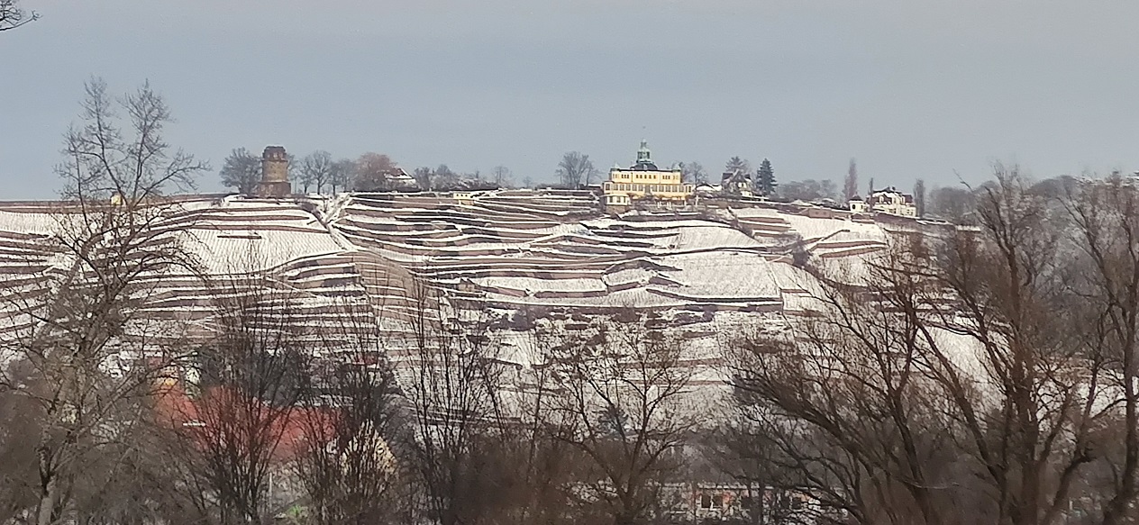 Elblandschaft Dresden Niedergohlis Blick zum Spitzhaus Silke Grieß